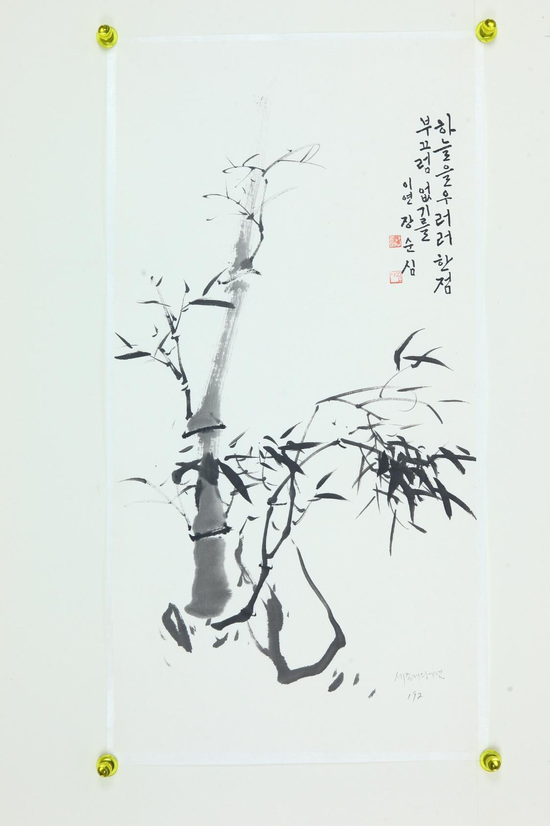 장순심