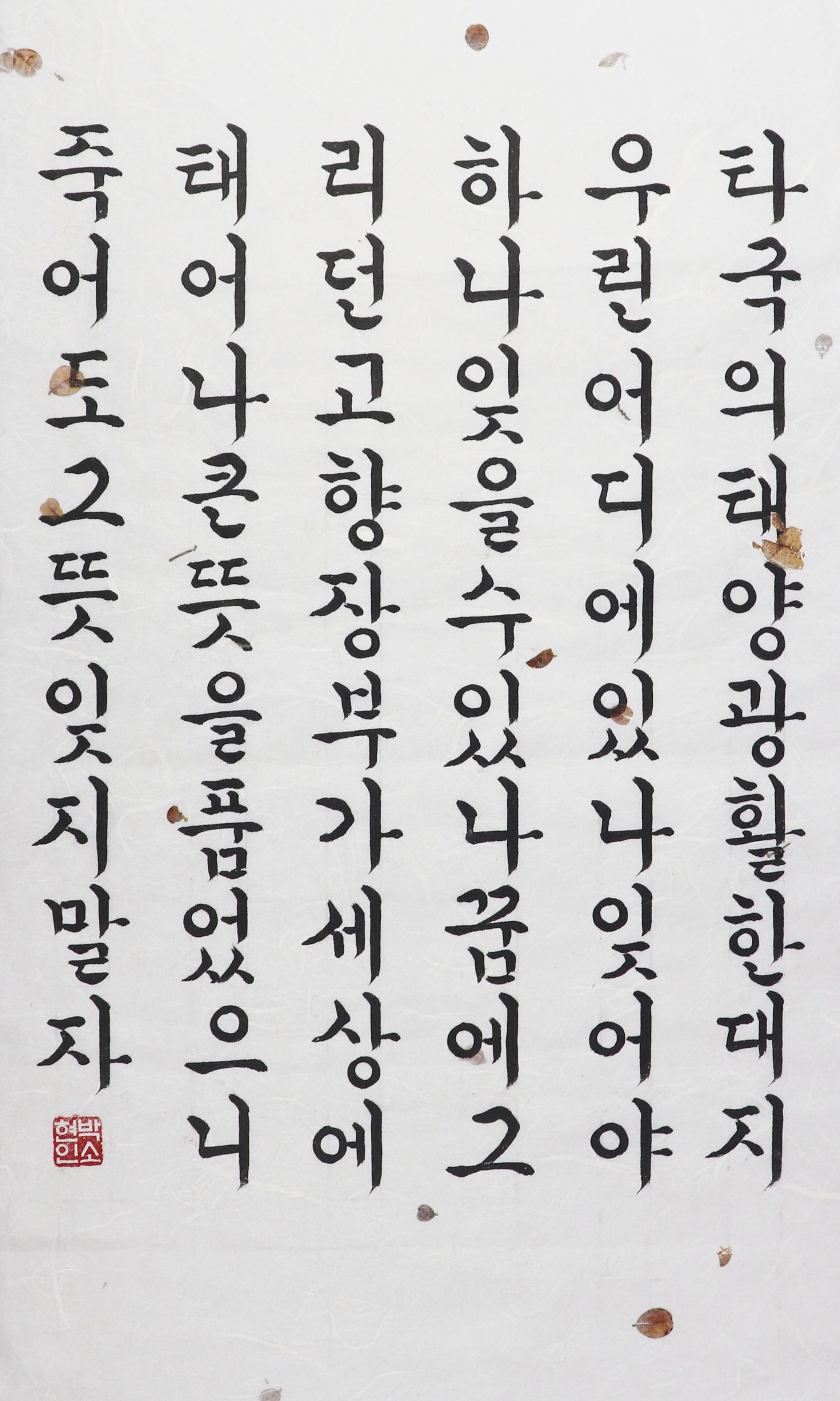 온솔 박소현