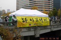2008. 11월15일 청계천 장통교에서