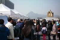 2011.4.9 -광화문광장