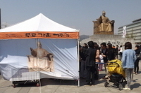광화문광장  -2013.4.27
