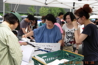 2011.7.23-광화문광장