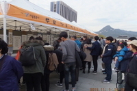 광화문-2015.11.1