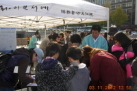 2012.11.3 -광화문광장